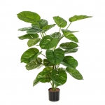 Pothos Plant Giant Leaf 115cm